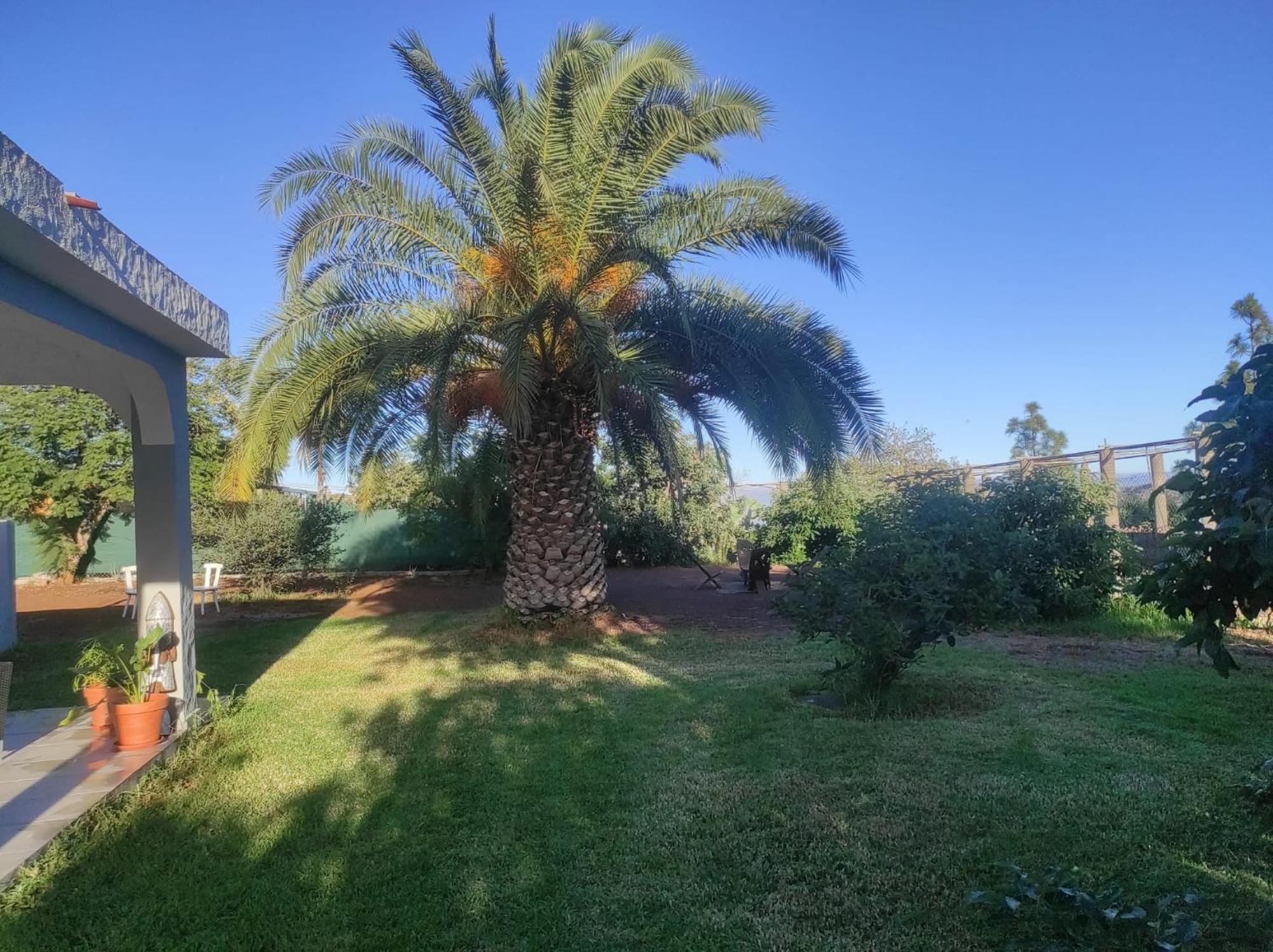 Cottage Gran Canaria Completely Renovated With Jacuzzi Valsequillo de Gran Canaria Exteriér fotografie